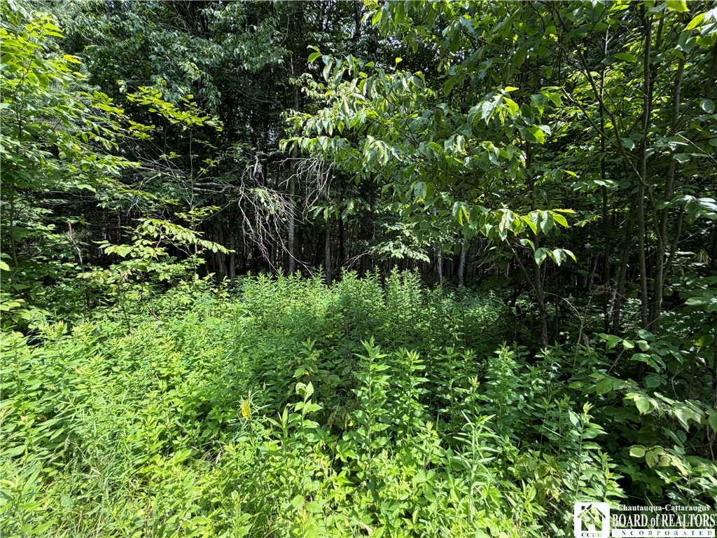 2751 Canfield Road Cohocton, NY 14826 - Photo 25 of 50
