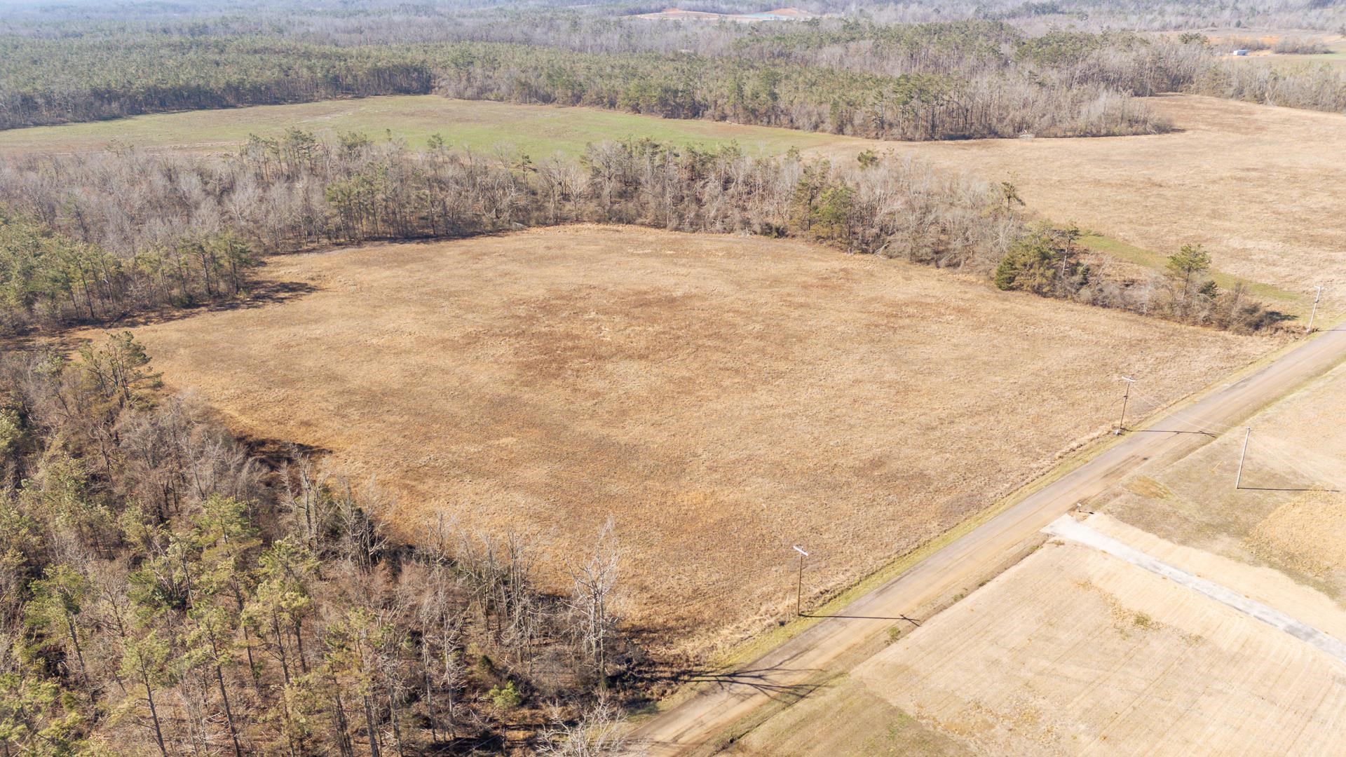 0 Dr Williams Road Michie, TN 38357 - Photo 2 of 6 a view of mountain view