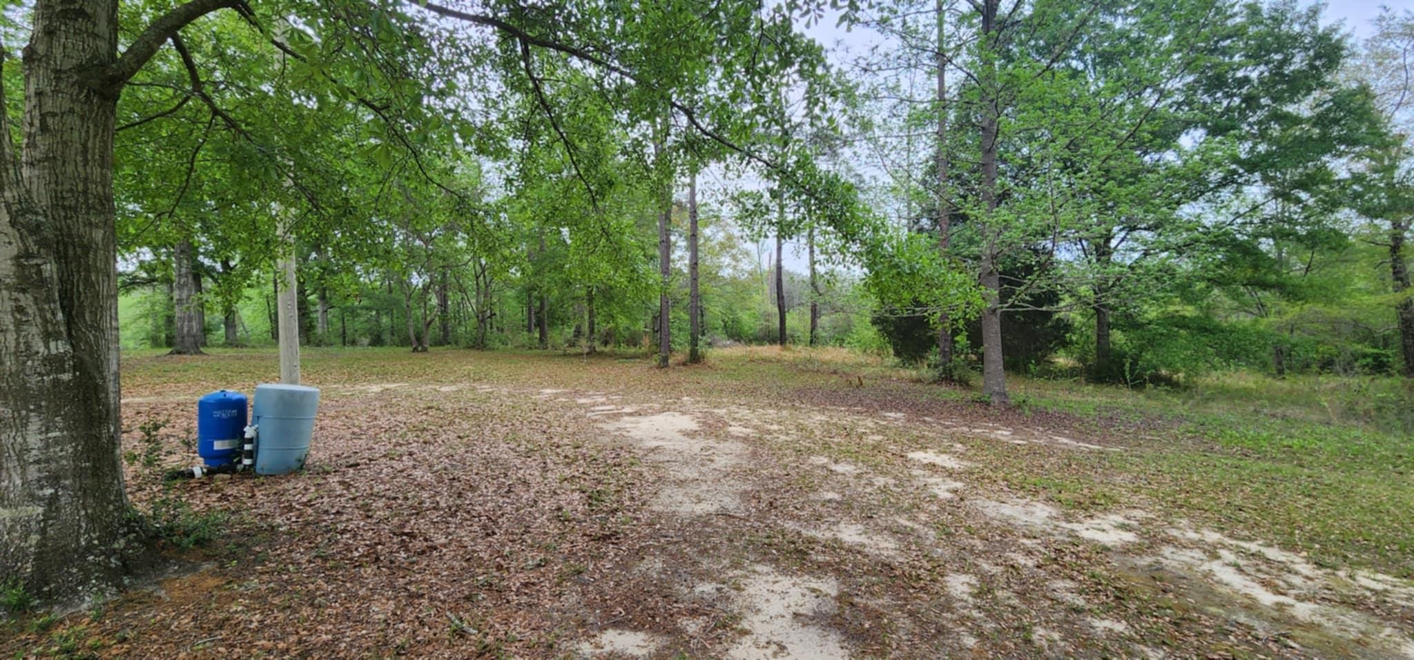 24407 Patterson Road Robertsdale, AL 36567 - Photo 13 of 18 Yard