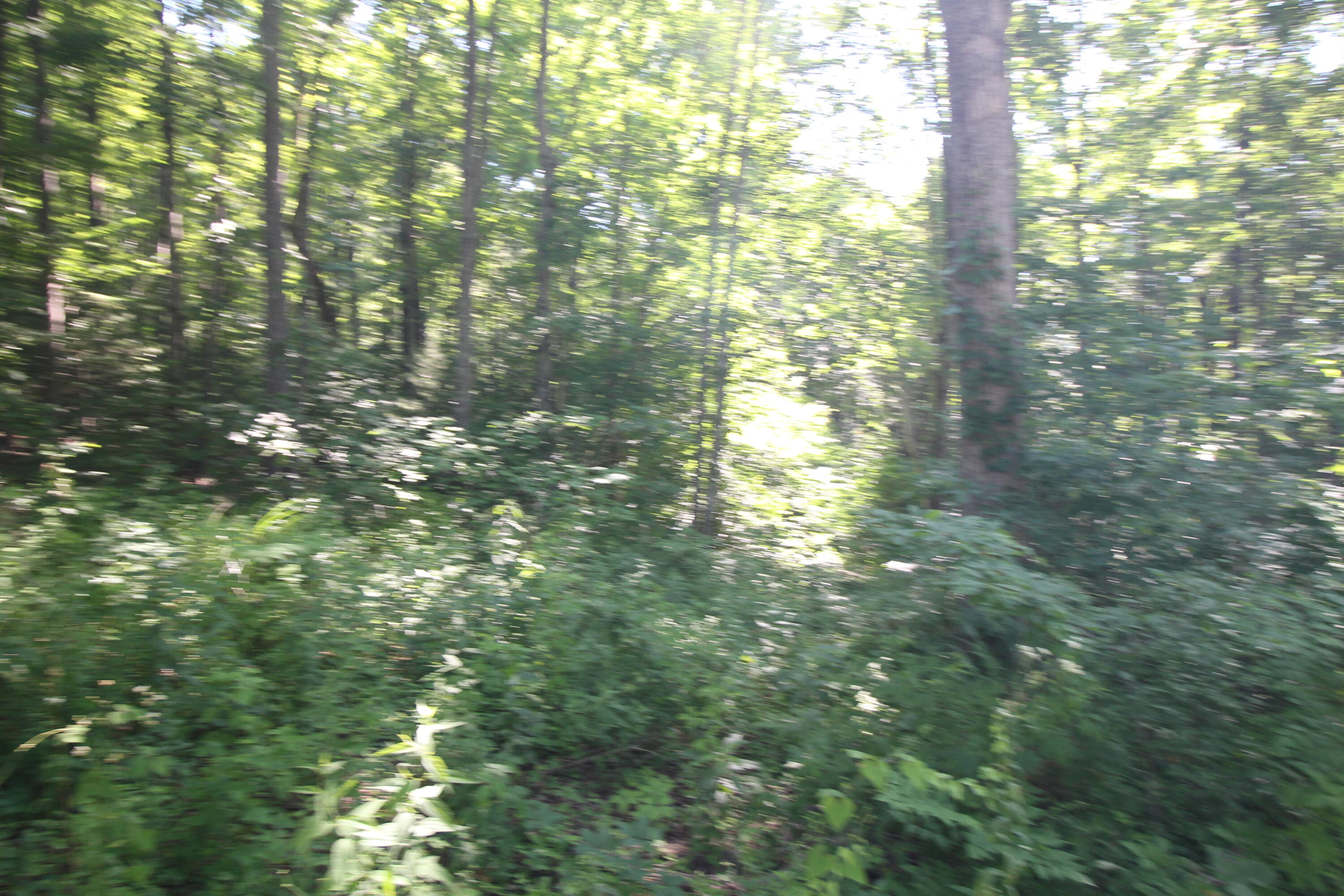 111 Timber Ridge Rogers, KY 41365 - Photo 3 of 6 IMG_0239