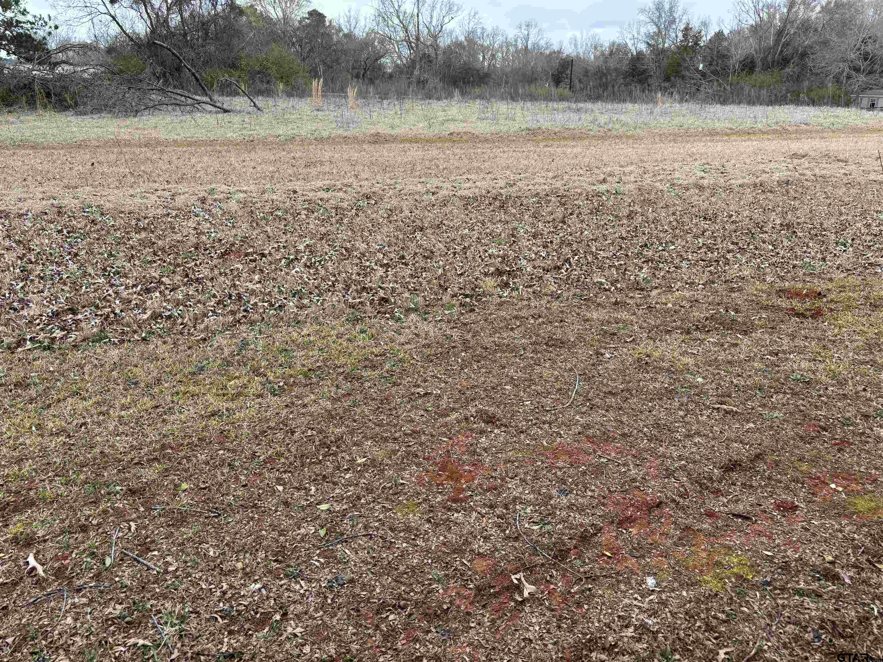 607 Wichita Bullard, TX 75757 - Photo 2 of 2 a view of a lake view