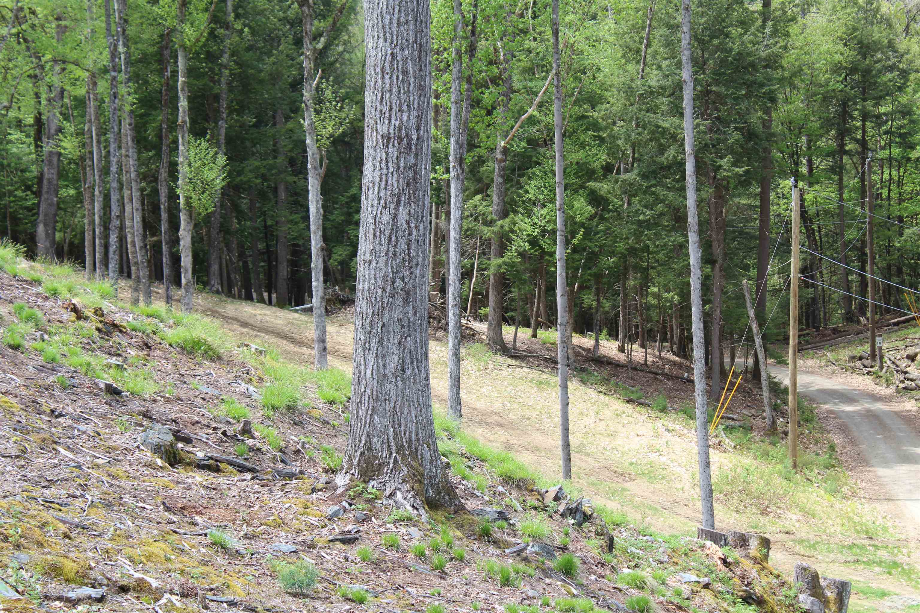 Lot 23-24 Wetherbee Road Lyman, NH 03585 - Photo 45 of 54