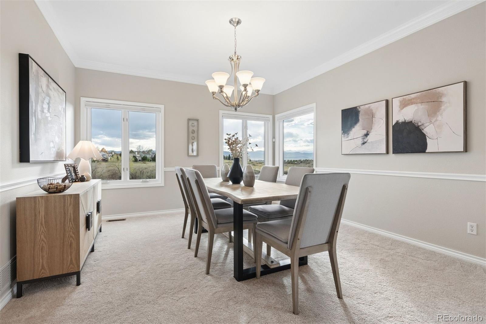 2384 Terrace Drive Highlands Ranch, CO 80126 - Photo 16 of 50