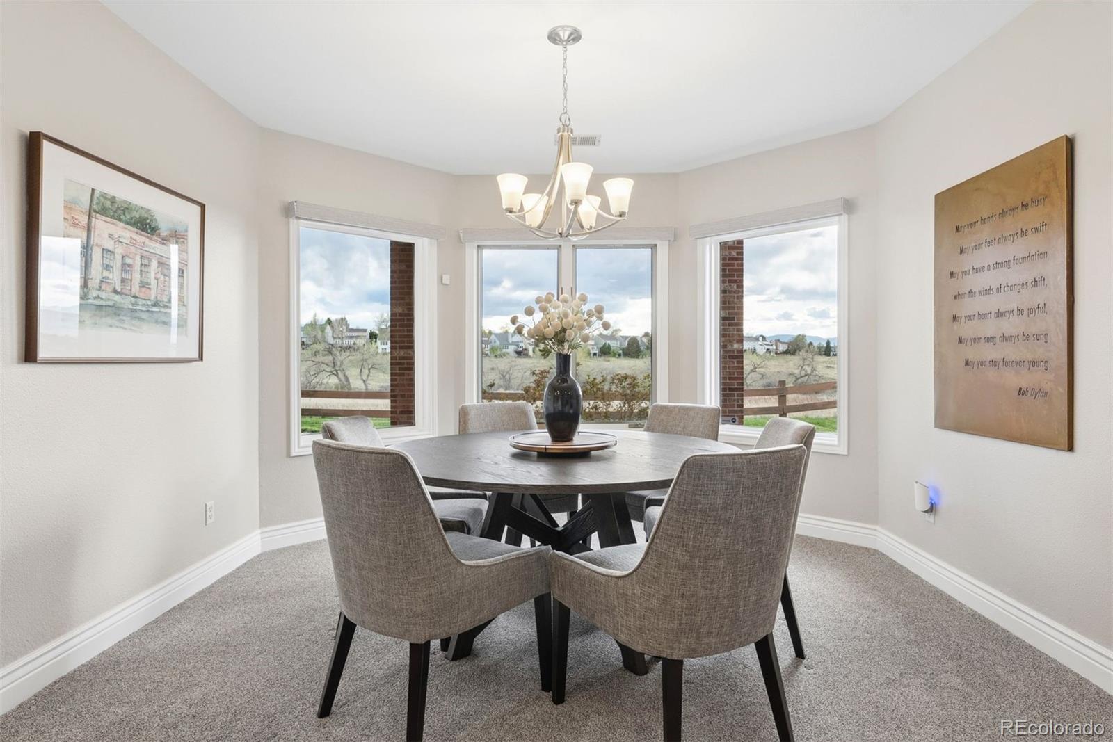 2384 Terrace Drive Highlands Ranch, CO 80126 - Photo 47 of 50