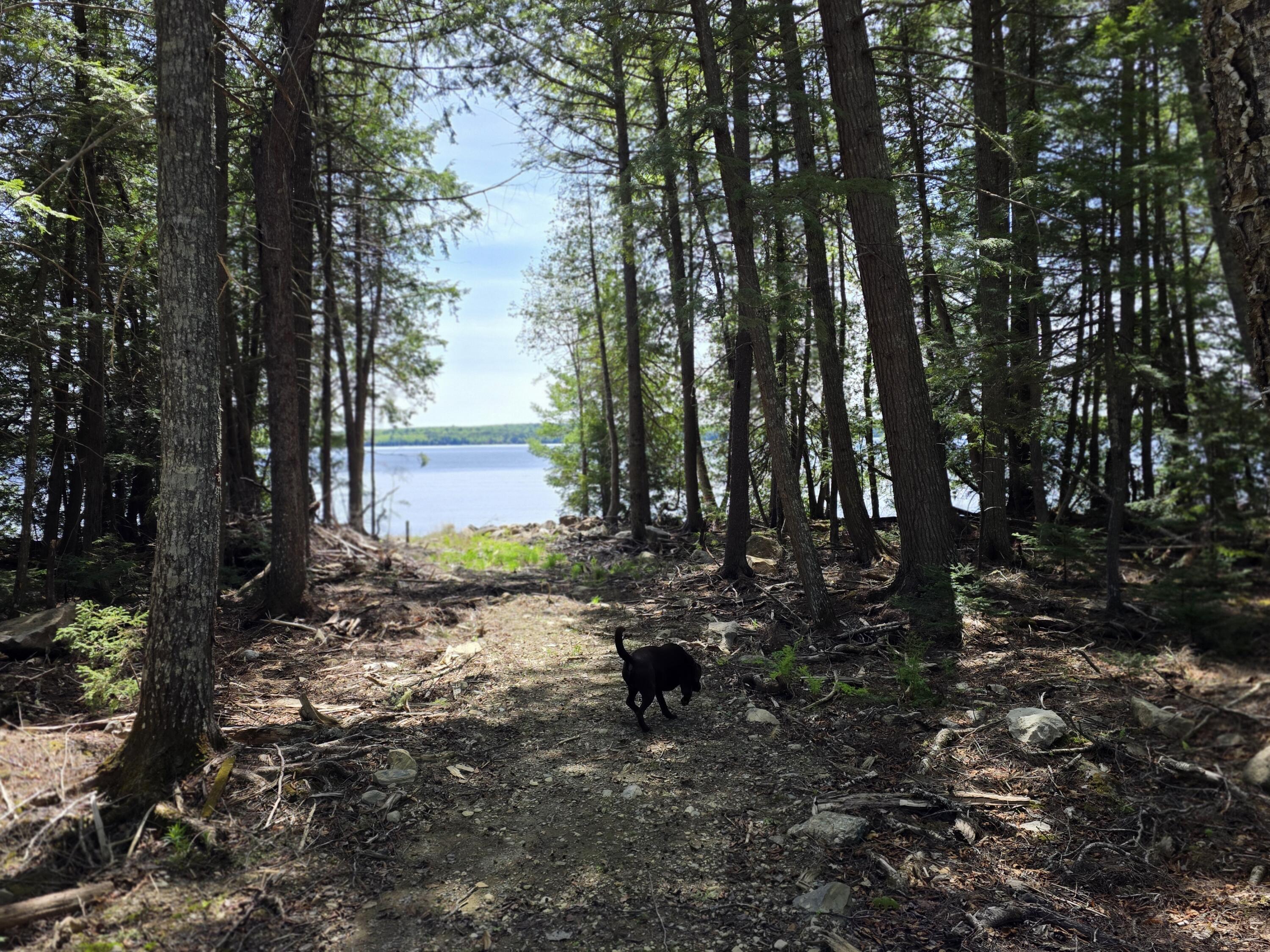 1.86 Lakeside Road Island Falls, ME 04747 - Photo 12 of 29 20260523_132758