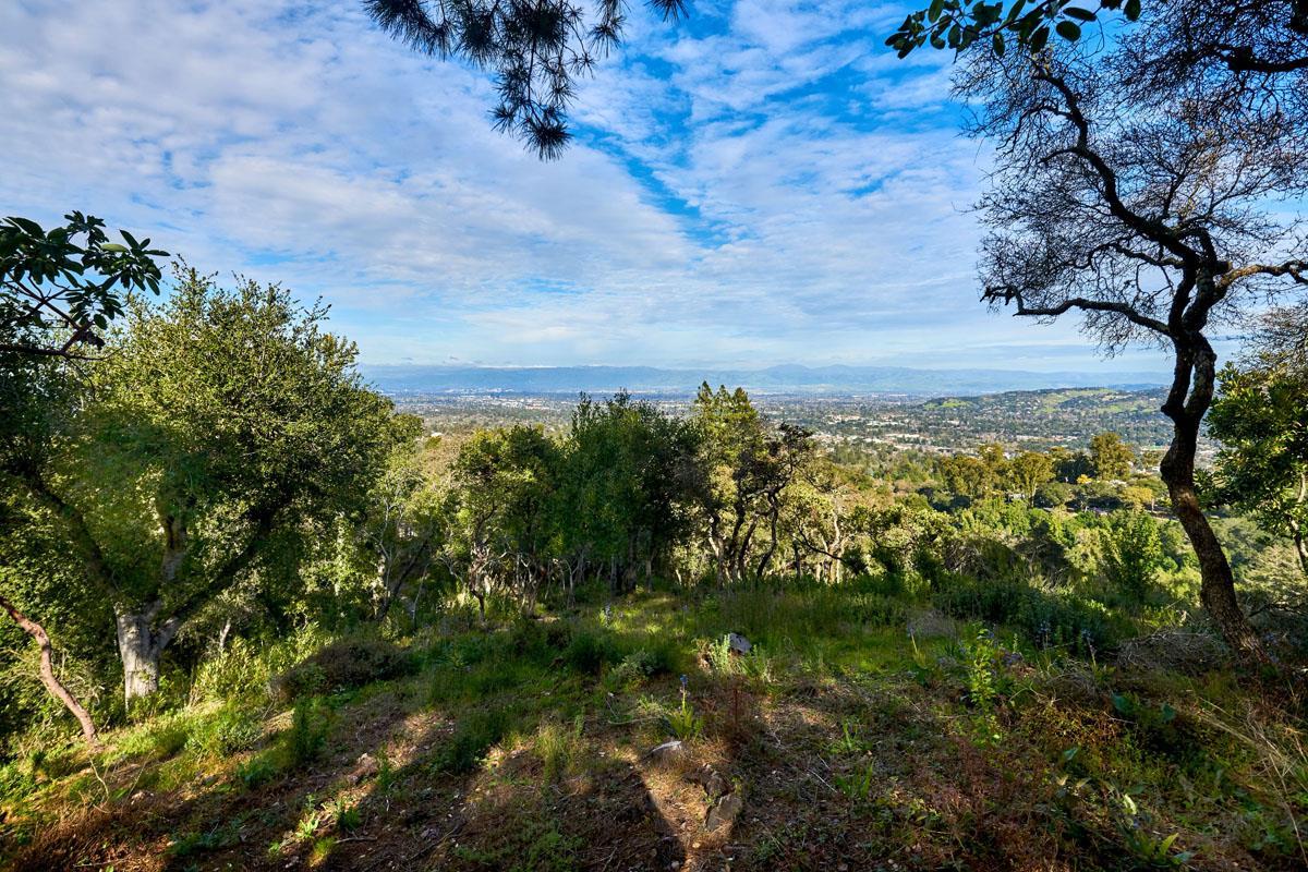 19000 Overlook Road Los Gatos, CA 95030 - Photo 2 of 56 a view of a lush green forest with lots of trees