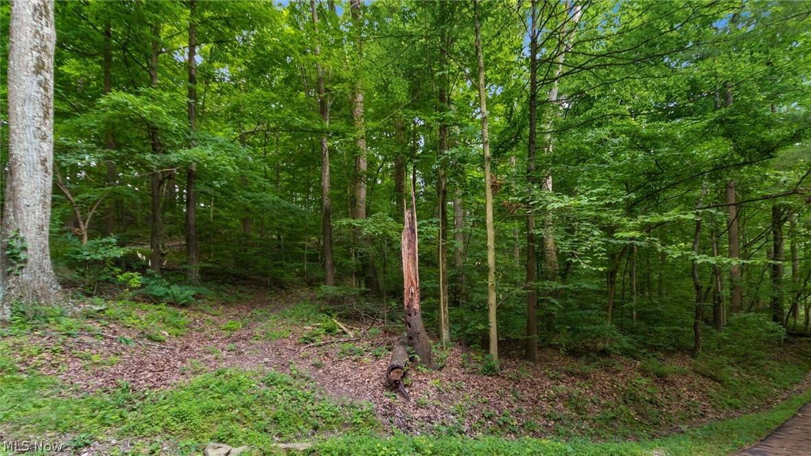 72845 Old Twenty One Road Kimbolton, OH 43749 - Photo 34 of 50