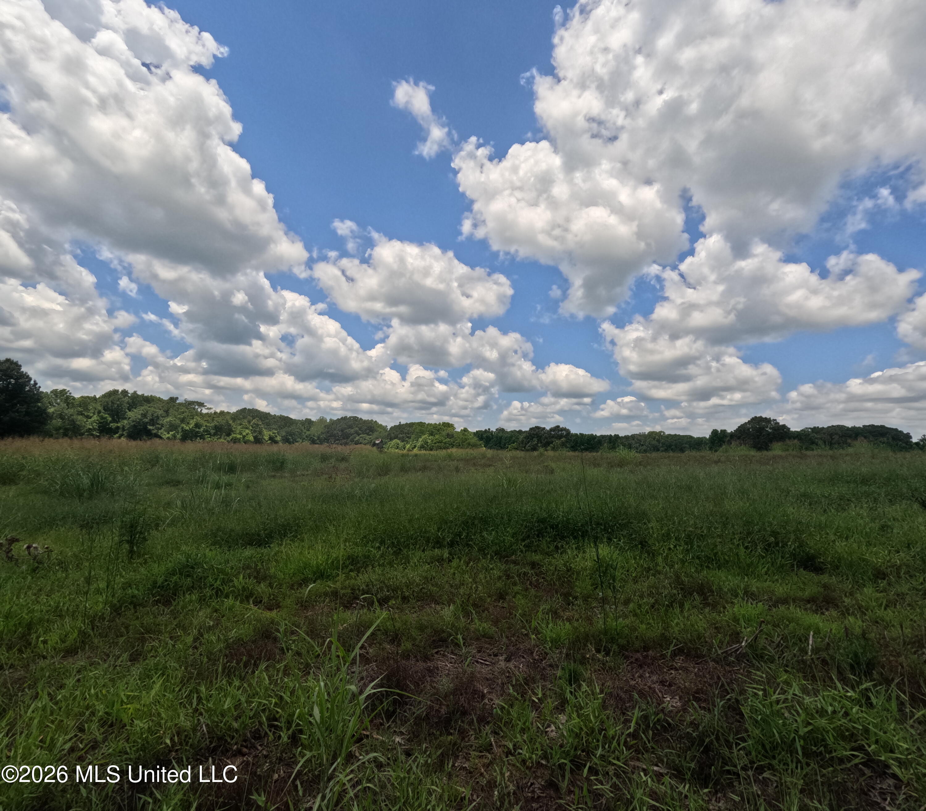 Old Port Edwards, MS 39066 - Photo 34 of 65 GOPR2223