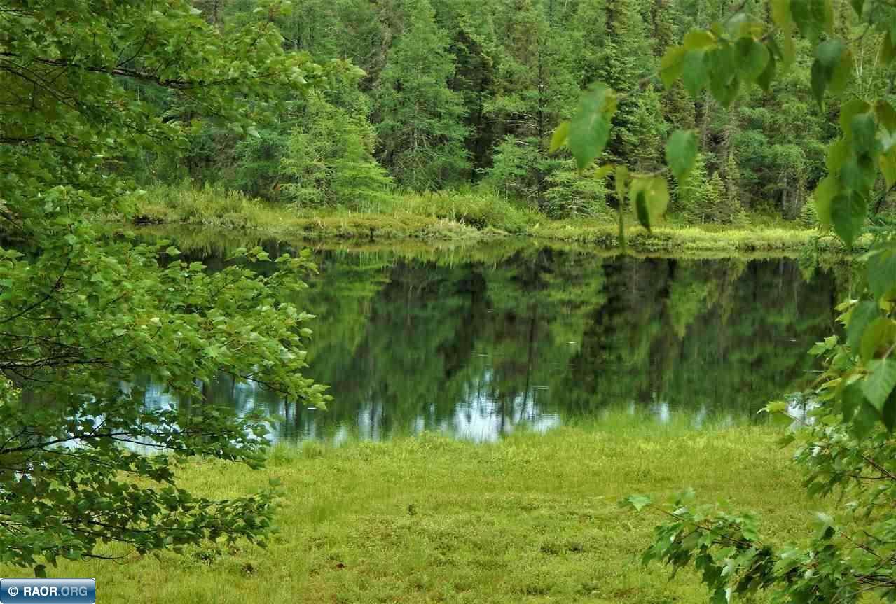 12523 Town Line Road Hibbing, MN 55746 - Photo 7 of 26