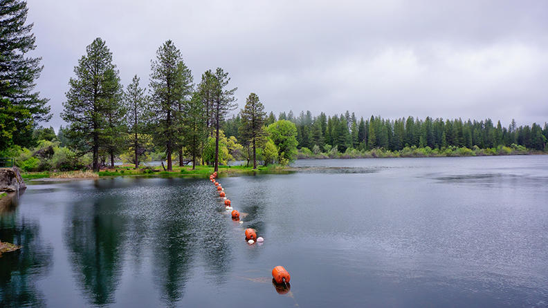 8497 Starlite Pines Road Shingletown, CA 96088 - Photo 4 of 22 Minutes From Lake McCumber