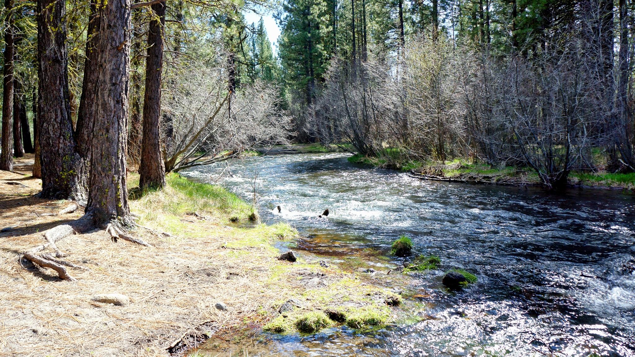 8497 Starlite Pines Road Shingletown, CA 96088 - Photo 7 of 22 World Famous Fishing Hat Creek