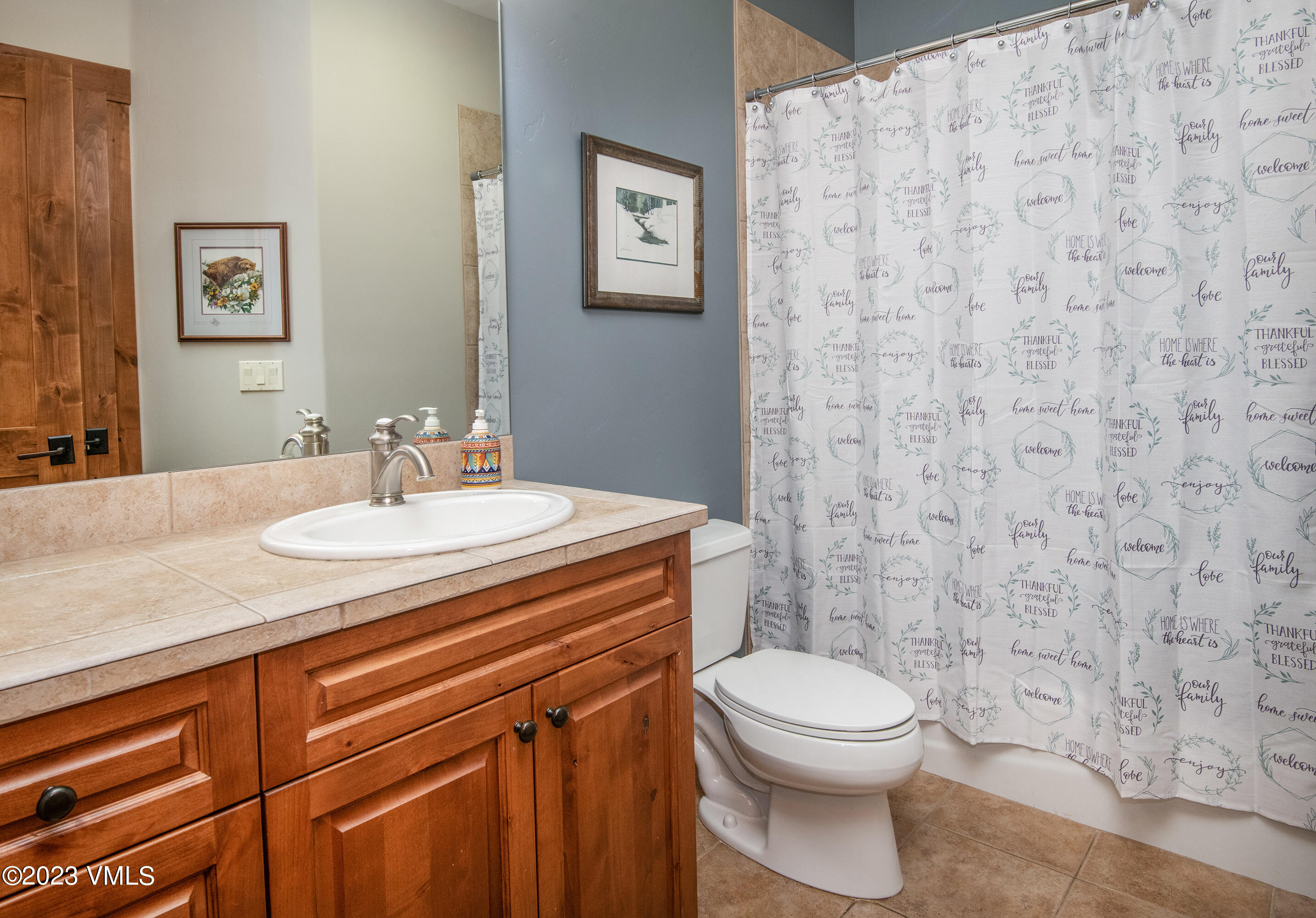 346 Palmer Loop Eagle, CO 81631 - Photo 24 of 63 a bathroom with a sink a toilet and a mirror