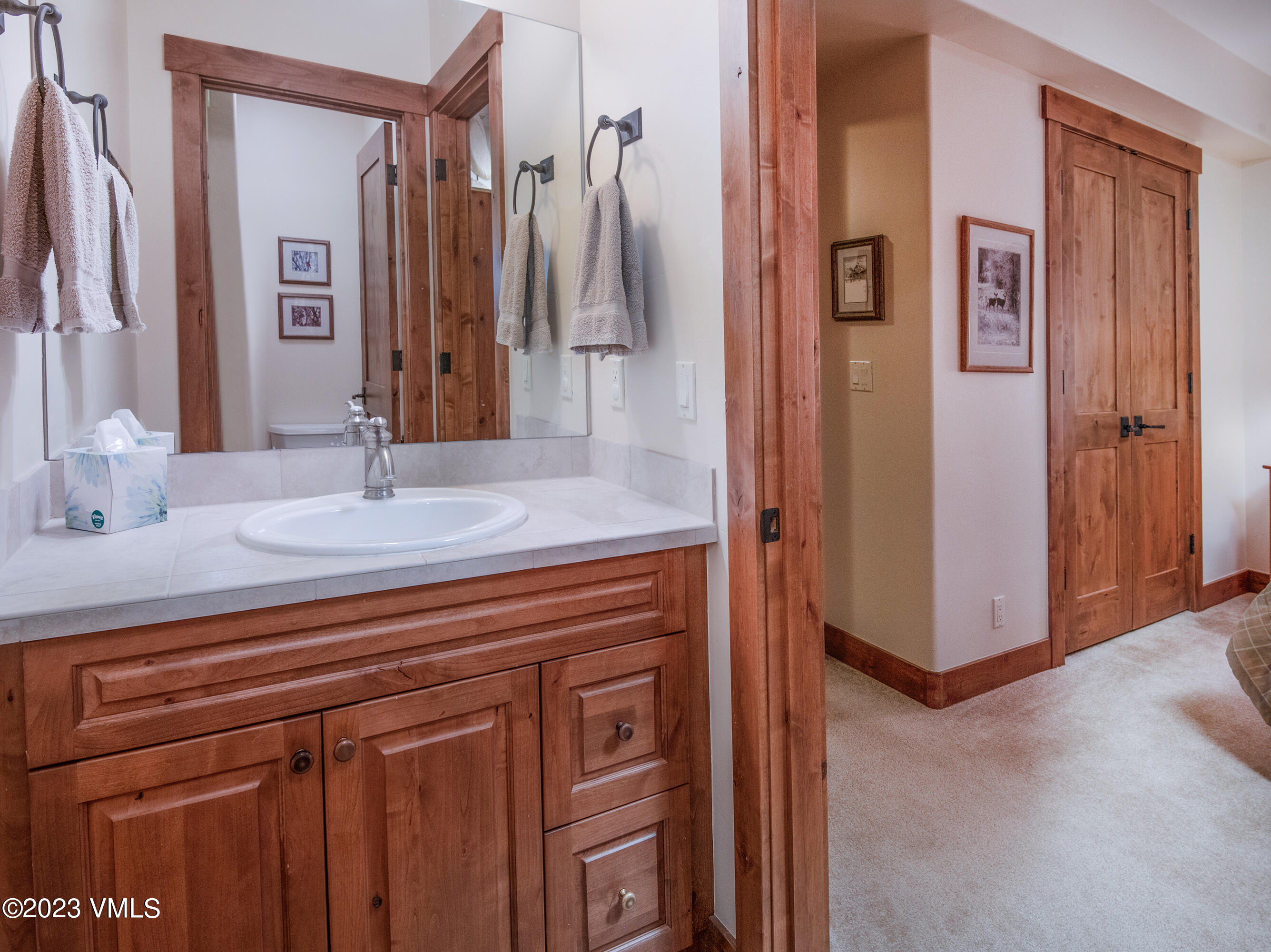 346 Palmer Loop Eagle, CO 81631 - Photo 40 of 63 a bathroom with a sink and a mirror
