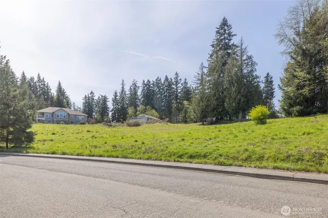 a view of garden with trees