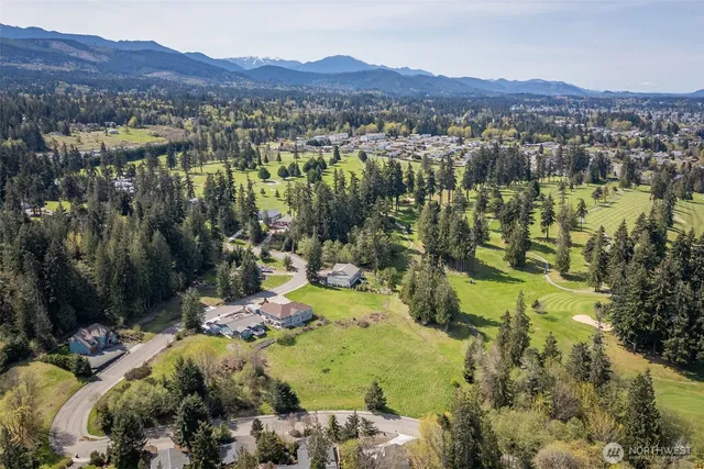 a view of a yard with large trees