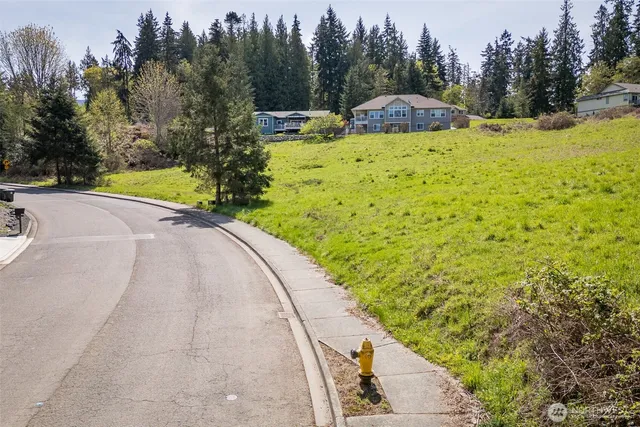 a view of a bunch of flowers in a garden