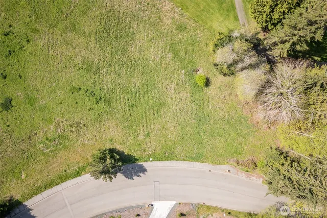 a view of a swimming pool with a yard