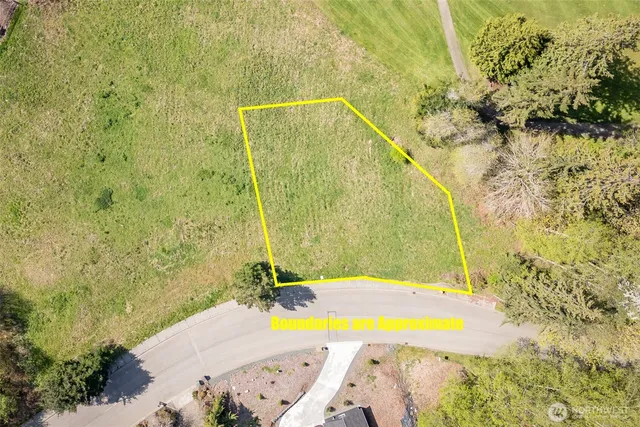 a view of a yard with large trees