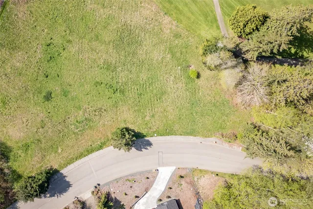a view of a yard with large trees