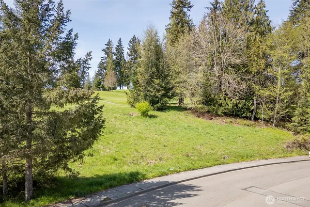 a view of a yard with an outdoor space