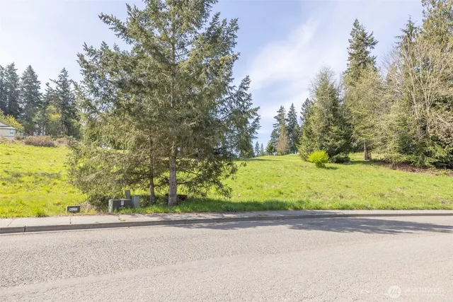 a view of a yard with a road