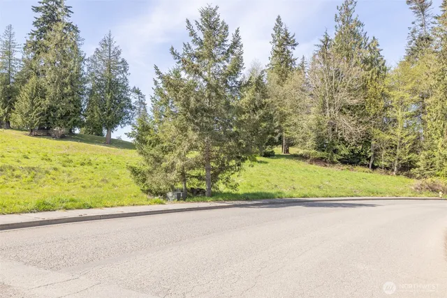 a view of a yard with trees and a building in the background