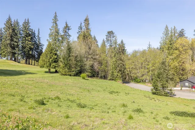 a view of a field with trees in the background