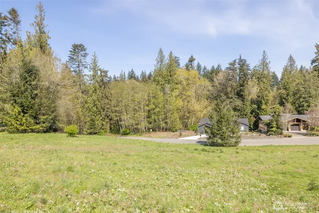 a view of a garden with trees