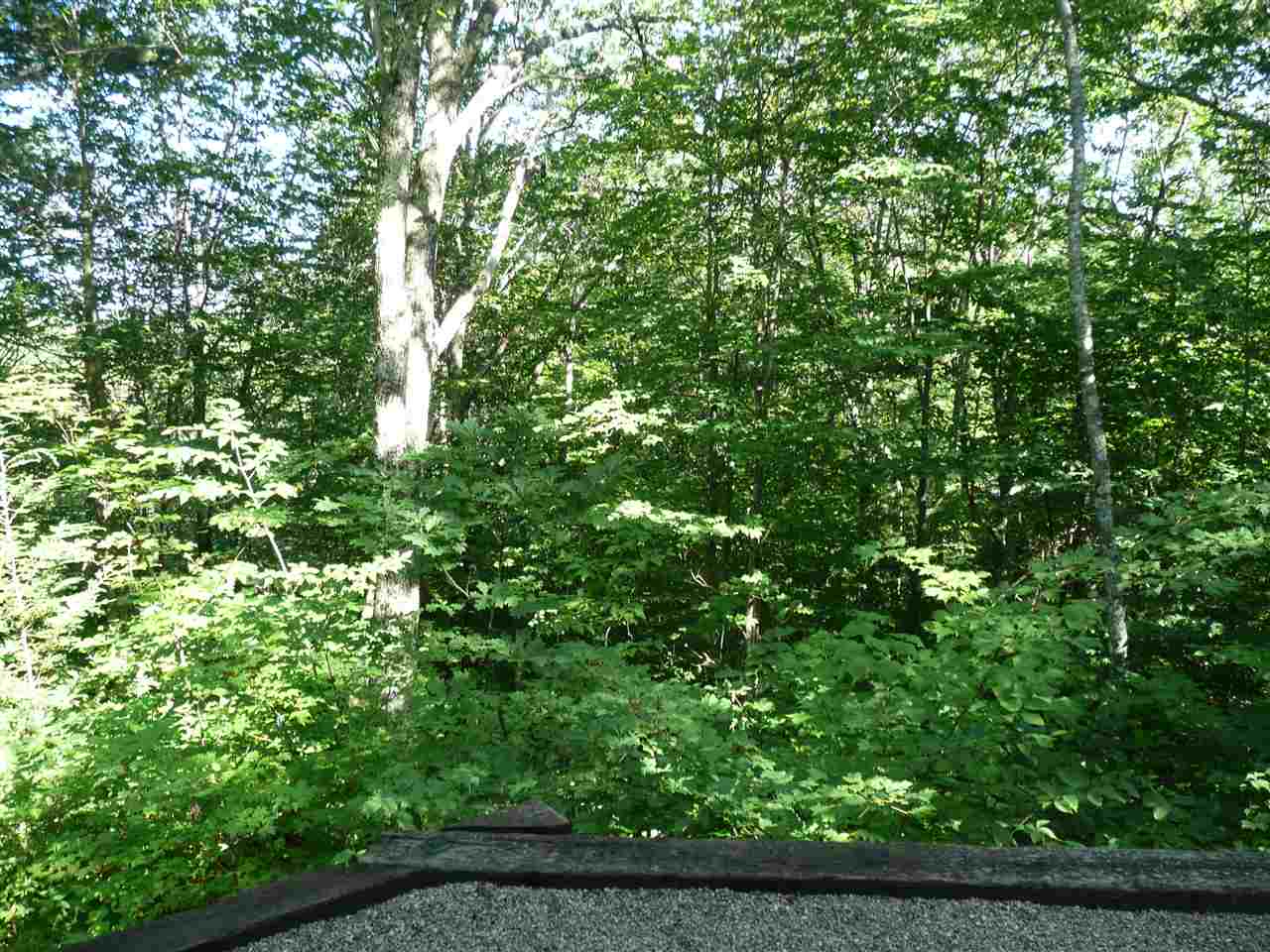 19 Oak Ridge Road Madison, NH 03849 - Photo 30 of 40