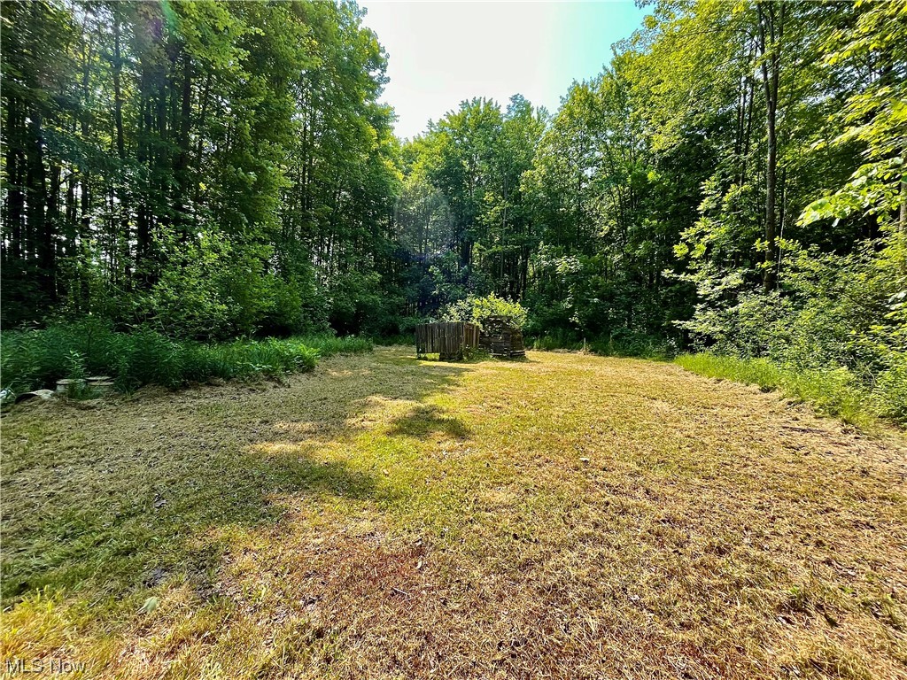 17615 Rock Creek Road Thompson, OH 44086 - Photo 31 of 35