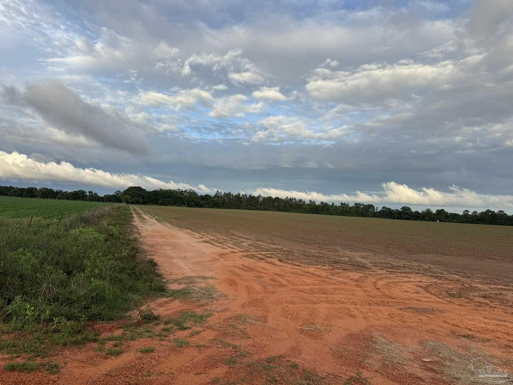 0 Old Stage Road Repton, AL 36475 - Photo 18 of 27