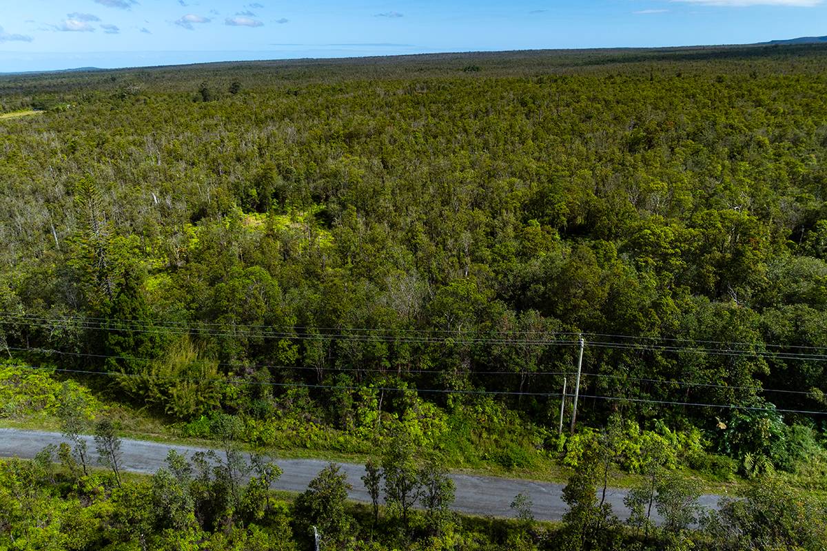 13 Kaleponi Road Pahoa, HI 96778 - Photo 8 of 9 a view of a field with an outdoor space