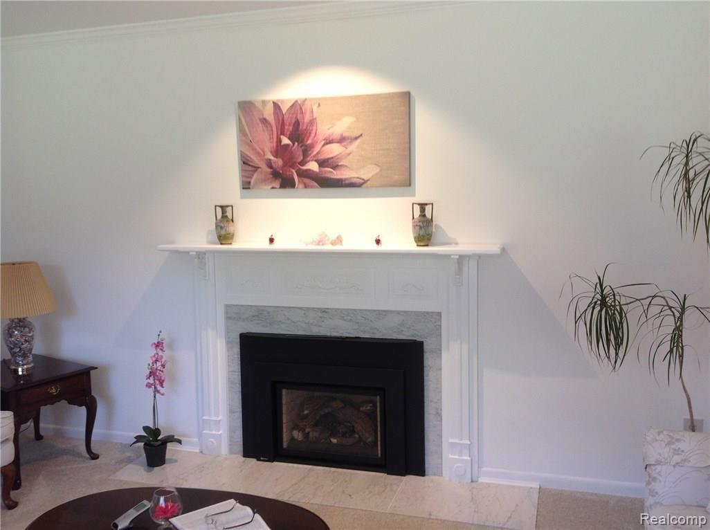 40700 Robbe Road Belleville, MI 48111 - Photo 8 of 38 Marble surround fireplace