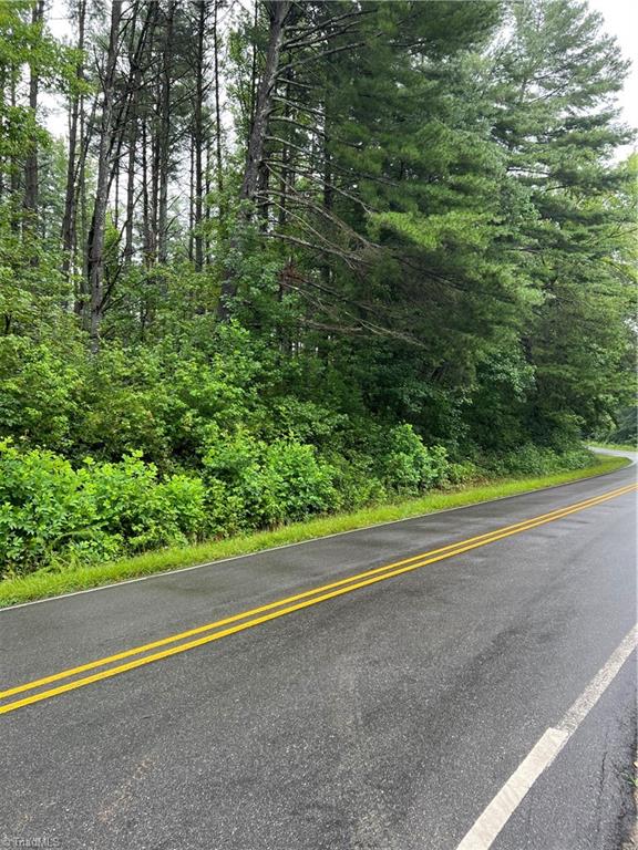 Lot 3 Kerr's Chapel Road Elon, NC 27244 - Photo 11 of 12