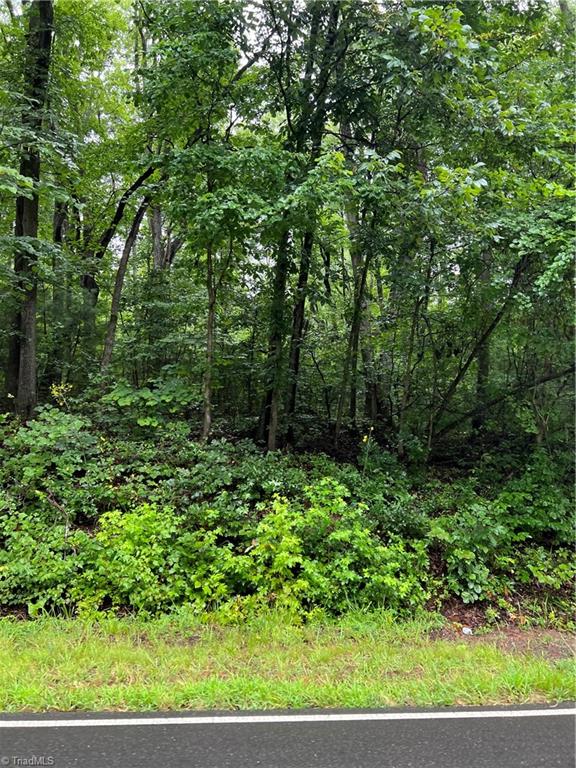 Lot 3 Kerr's Chapel Road Elon, NC 27244 - Photo 12 of 12
