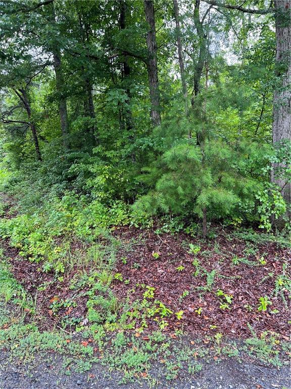 Lot 3 Kerr's Chapel Road Elon, NC 27244 - Photo 4 of 12