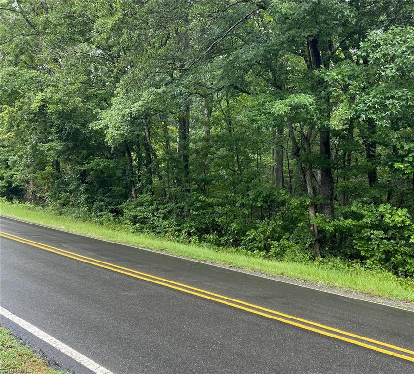 Lot 3 Kerr's Chapel Road Elon, NC 27244 - Photo 5 of 12