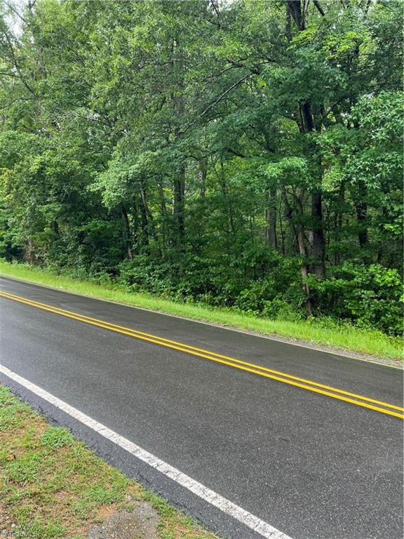 Lot 3 Kerr's Chapel Road Elon, NC 27244 - Photo 6 of 12