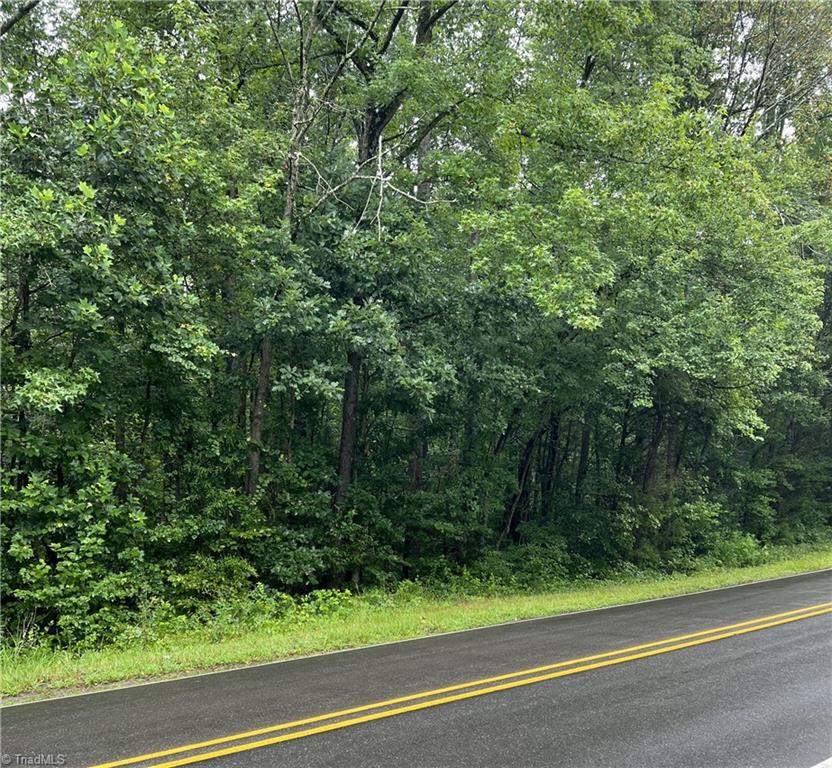 Lot 3 Kerr's Chapel Road Elon, NC 27244 - Photo 7 of 12