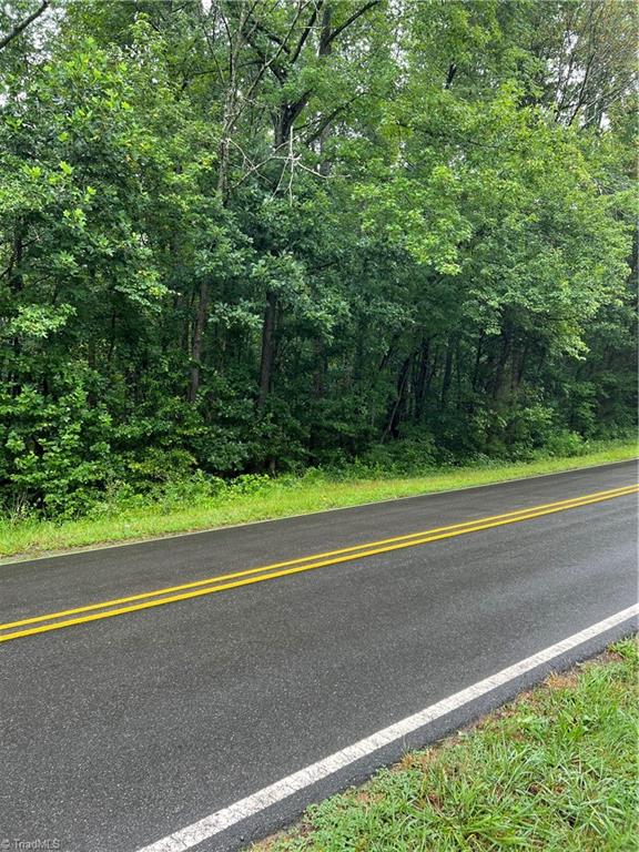 Lot 3 Kerr's Chapel Road Elon, NC 27244 - Photo 9 of 12