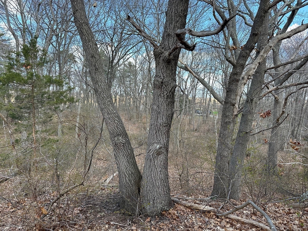 27 Old Pine Island Road Newbury, MA 01951 - Photo 5 of 9