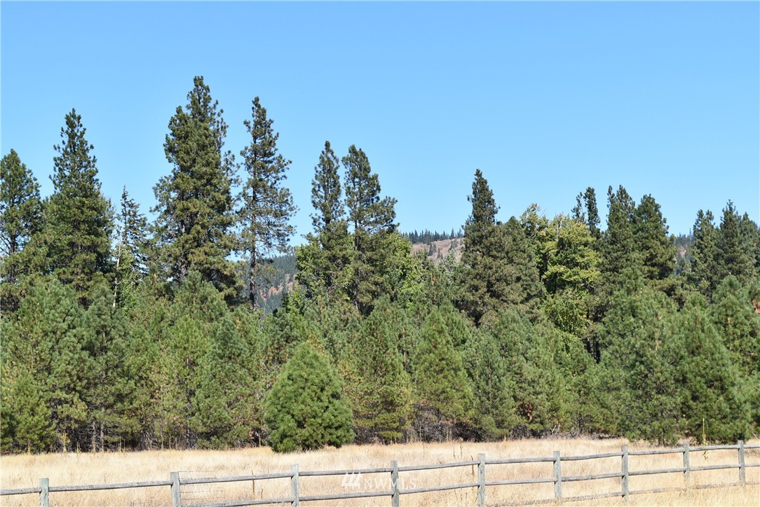 2501 Nelson Siding Road Cle Elum, WA 98922 - Photo 17 of 20 Gallery Image 17