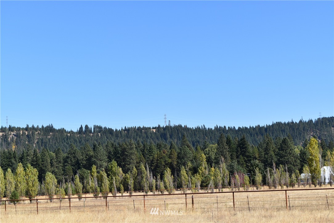 2501 Nelson Siding Road Cle Elum, WA 98922 - Photo 18 of 20 Gallery Image 18