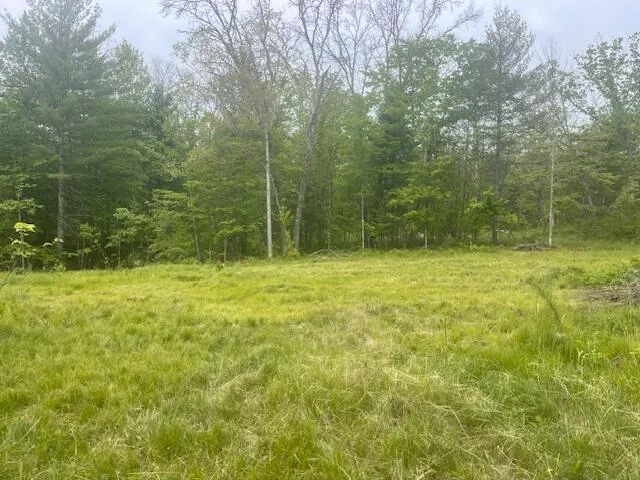 $14,900 | 73 East Harmony Avenue, Idlewild, MI 49642