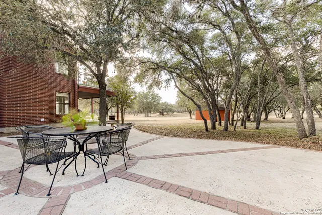 a view of backyard with table and chairs and a barbeque with potted plants and large trees