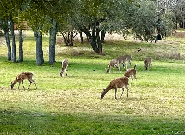 a view of a golf course with a lake