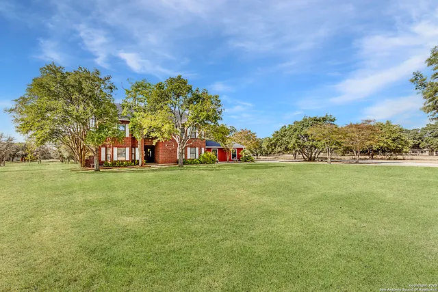 a view of a garden with trees