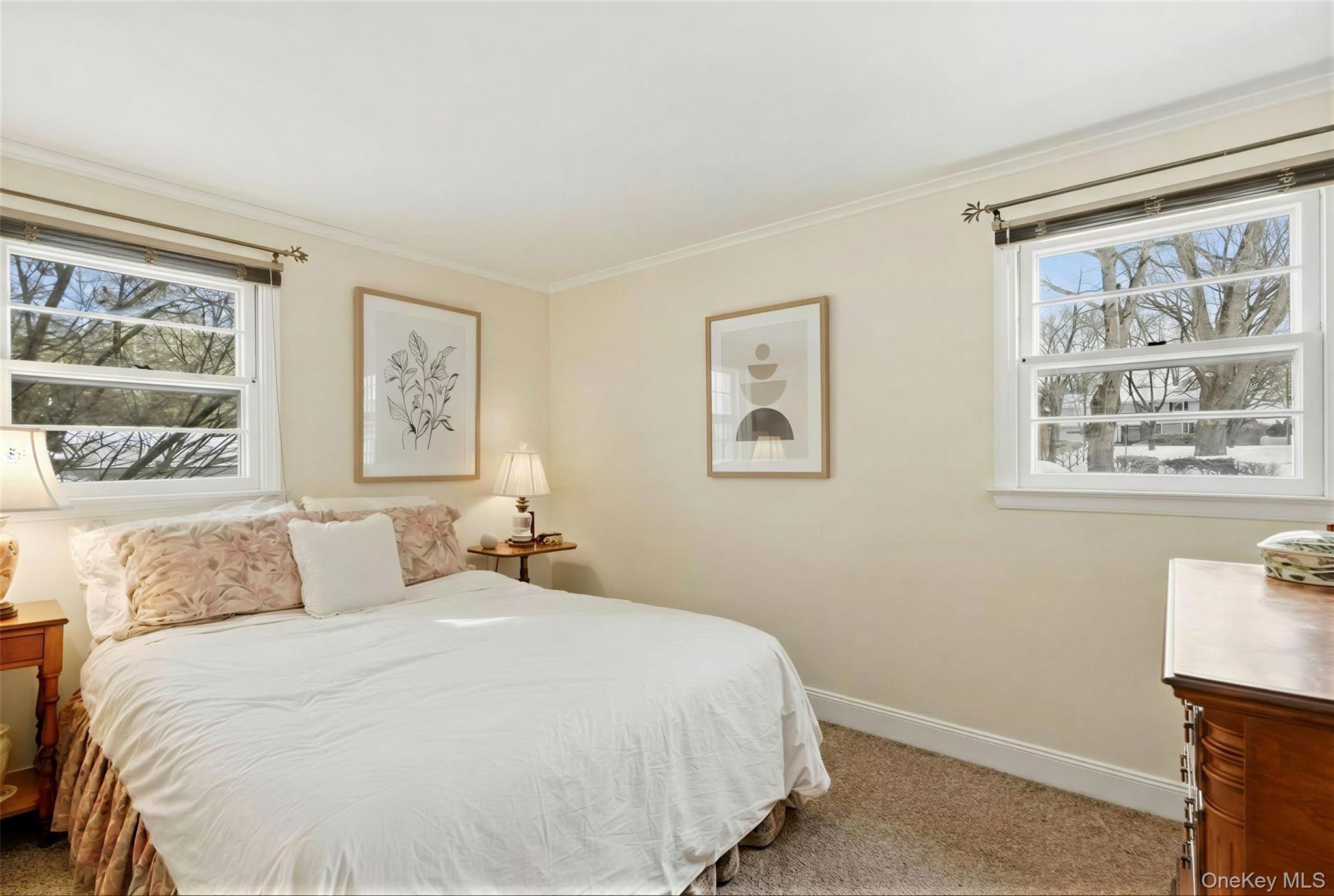 36 Country Ridge Drive Rye Brook, NY 10573 - Photo 19 of 24 Lower Level Bedroom