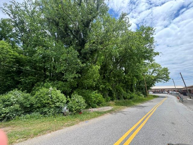 90-acre East Highland Street Blue Ridge, GA 30513 - Photo 1 of 14 Main View