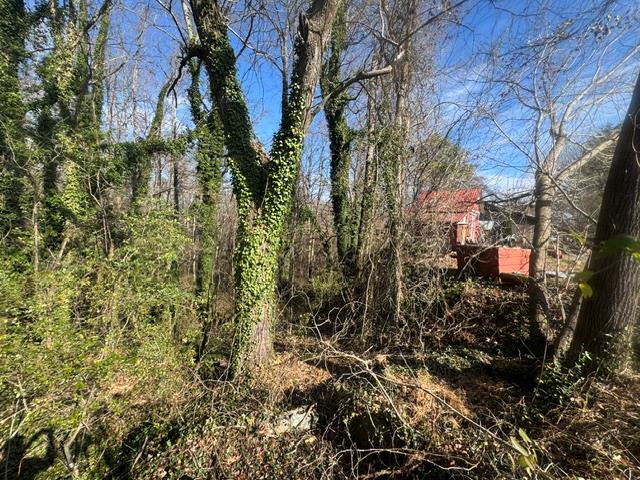 90-acre East Highland Street Blue Ridge, GA 30513 - Photo 14 of 14